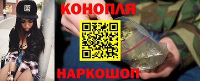 spice Нальчик