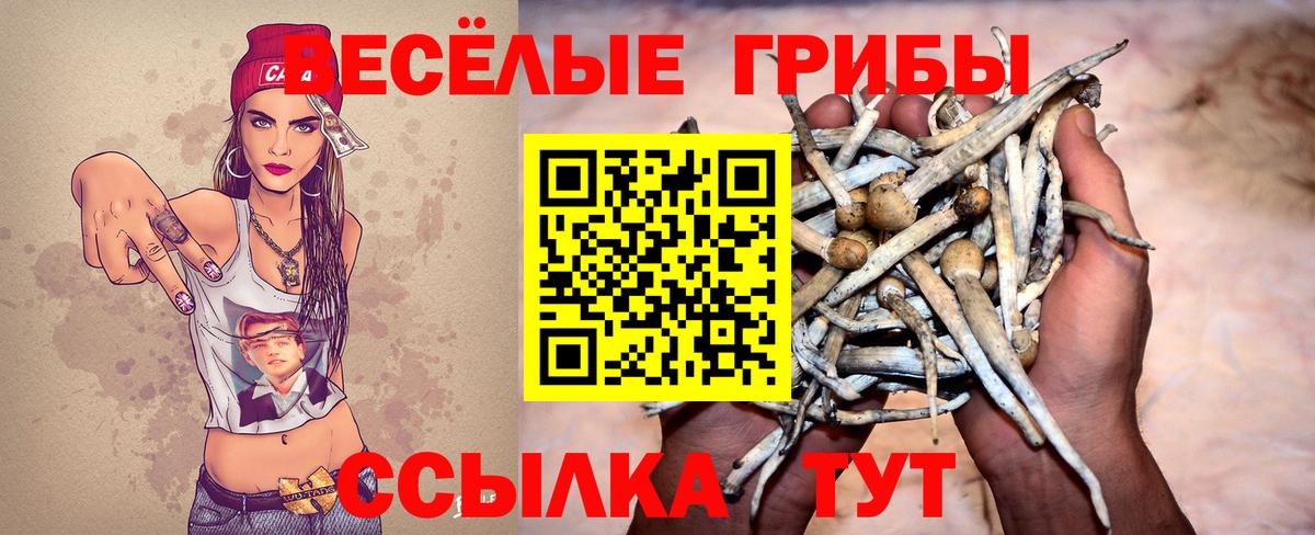 Галлюциногенные грибы GOLDEN TEACHER Черкесск